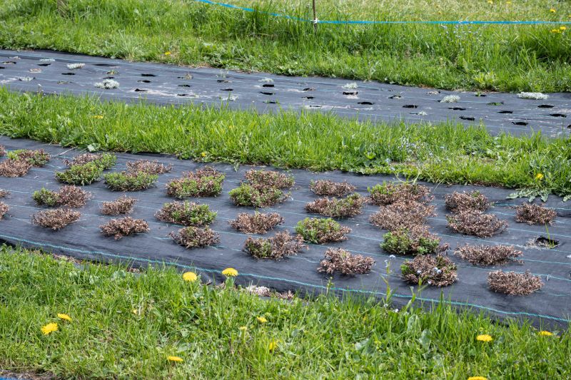 Landscape Fabric Installation